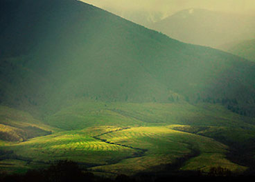 ddos攻击ip软件下载